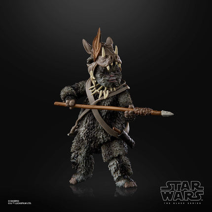 Star Wars Black Series Teebo