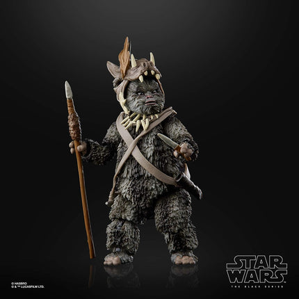 Star Wars Black Series Teebo