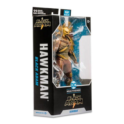 Black Adam Movie DC Multiverse Hawkman