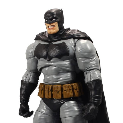 Batman: The Dark Knight Returns DC Multiverse Batman