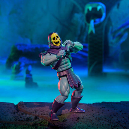 MOTU Origins Skeletor x VeeFriends Skilled Skeleton 2-Pack